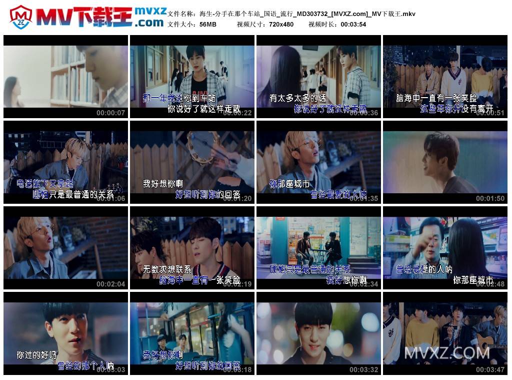 海生-分手在那个车站_国语_流行_MD303732